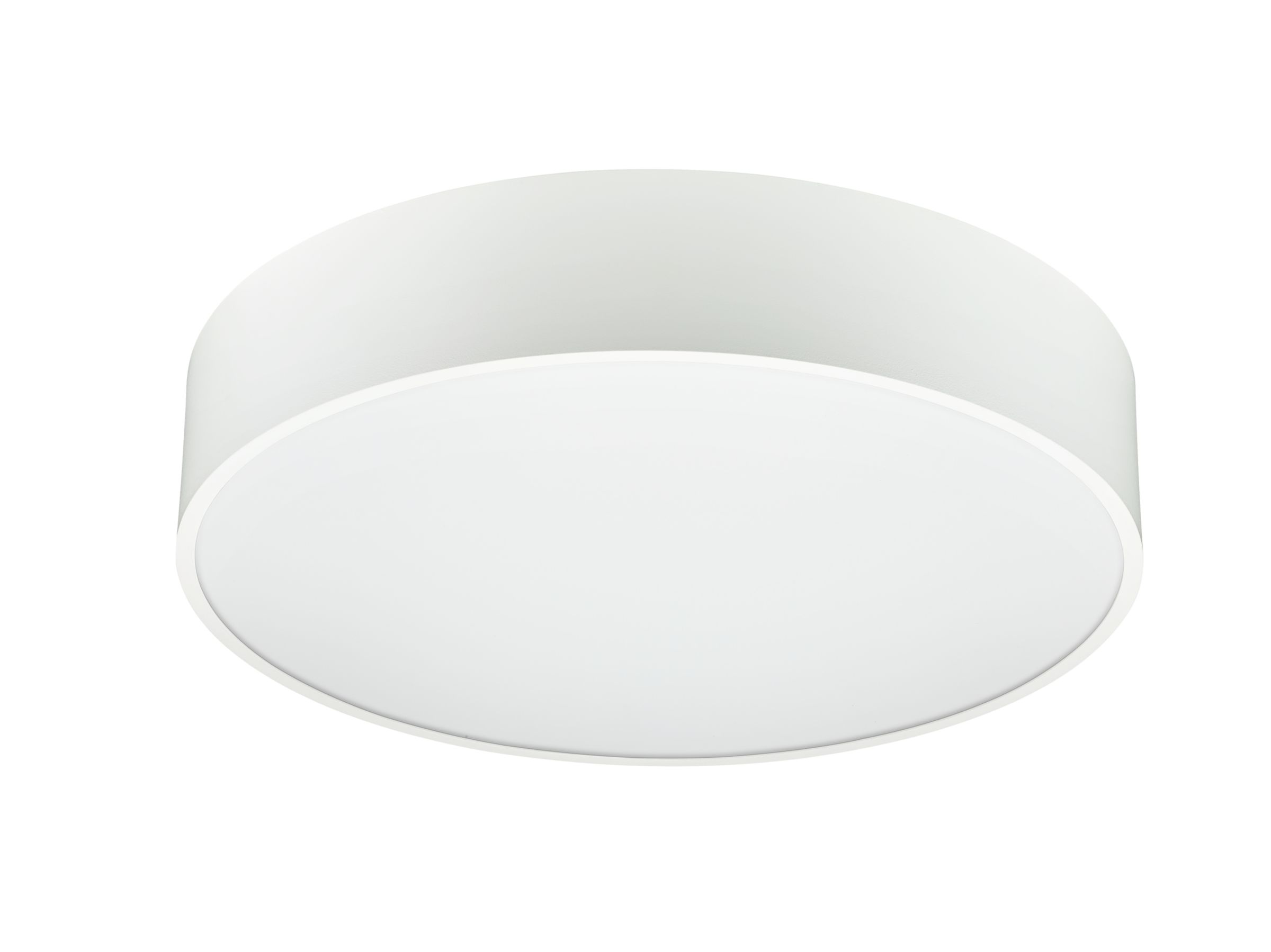 Surface mounted on sale ceiling lights